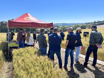 Dia de Campo Coprossel reúne produtores e técnicos em Rio Bonito do Iguaçu